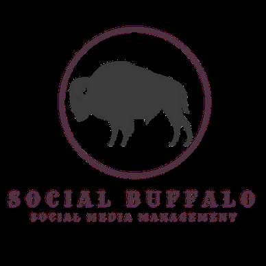 Jobs in Social Buffalo - reviews
